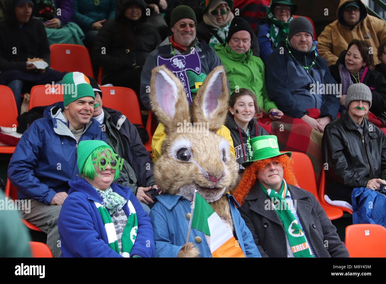 Peter Rabbit At St. Patrick's Day Parade Dublin Stock Photo Alamy