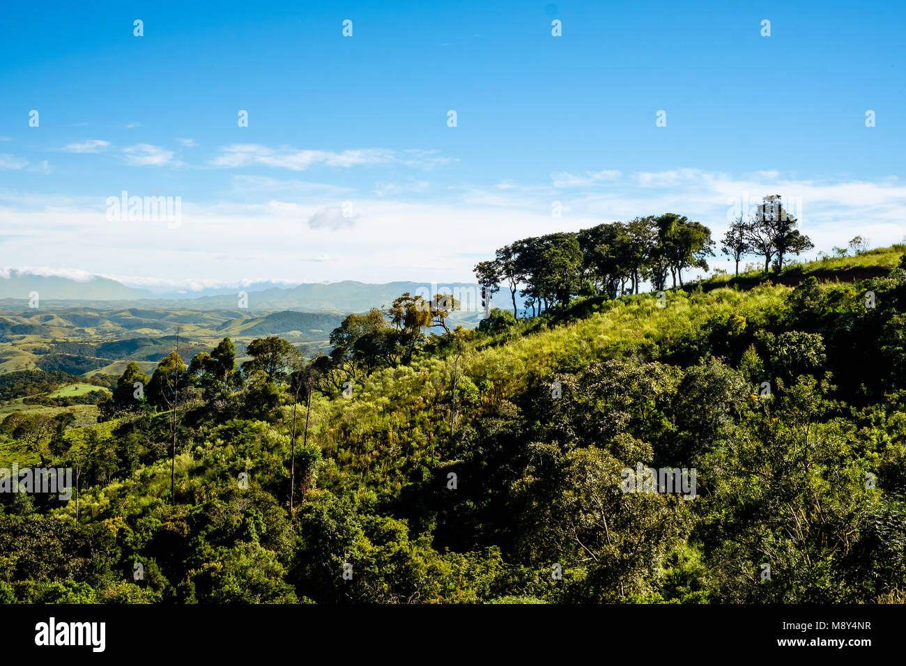 Cunha São Paulo fonte: c8.alamy.com