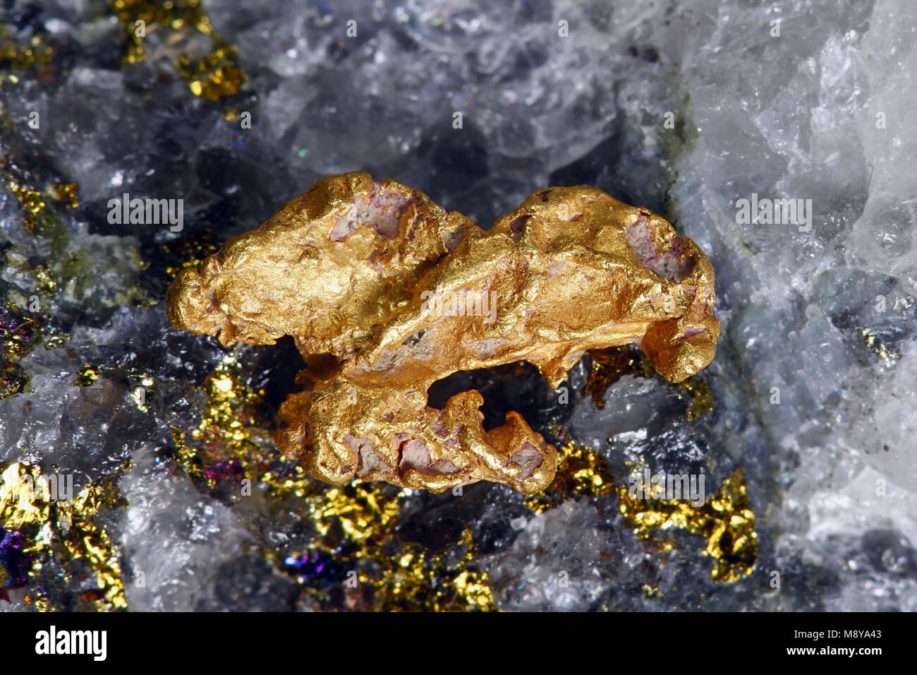 Big nugget of gold and quartz from Lapland Stock Photo