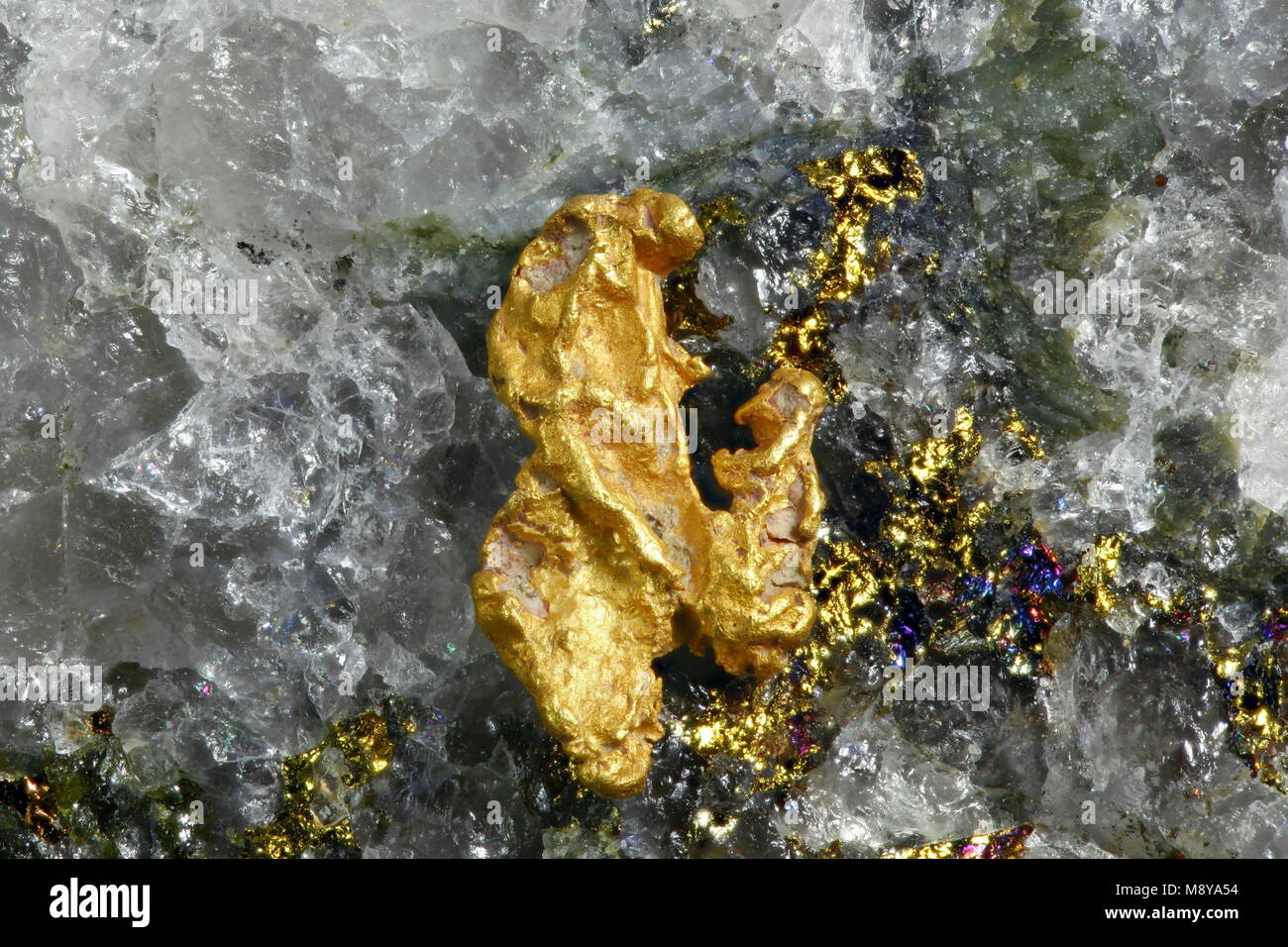 Big nugget of gold and quartz from Lapland Stock Photo