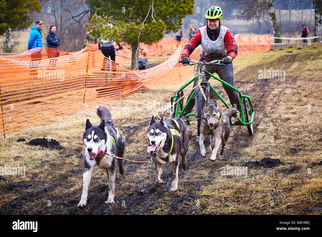 Mošovce, Slovakia. 10th March, 2018. 3rd round of Farmina Husky Cup - Jarné Káry Mošovce, sled dog rally on trails at Veľká Fatra. Due to the weather  Stock Photo