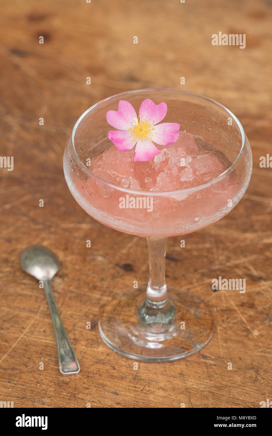 Frozen rose wine in a dessert glass with a spoon and organic rose