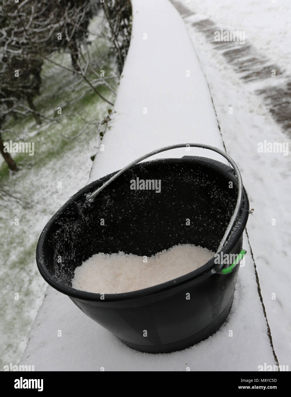 black bucket with salt used to melt ice and snow from the sidewalk