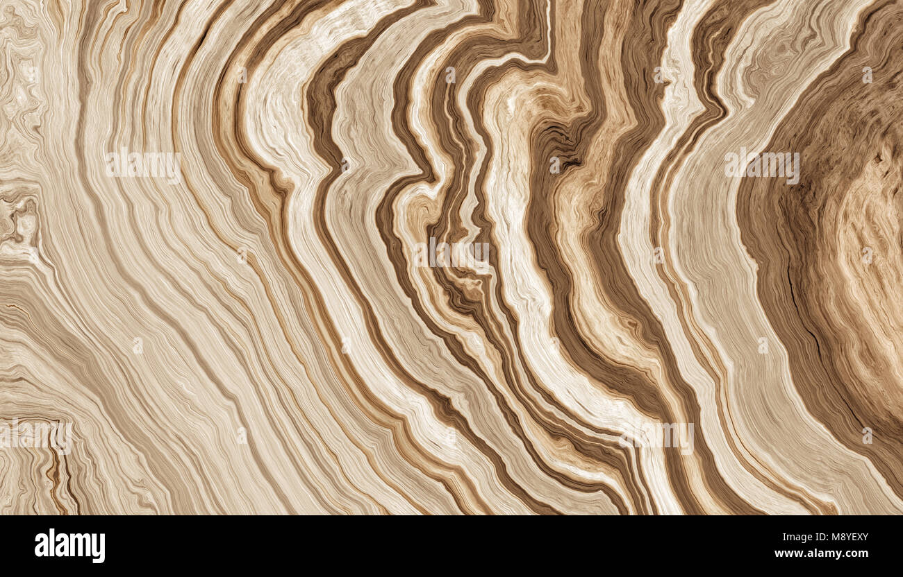 Texture of roots of tree with wavy lines and age rings. Abstract ...