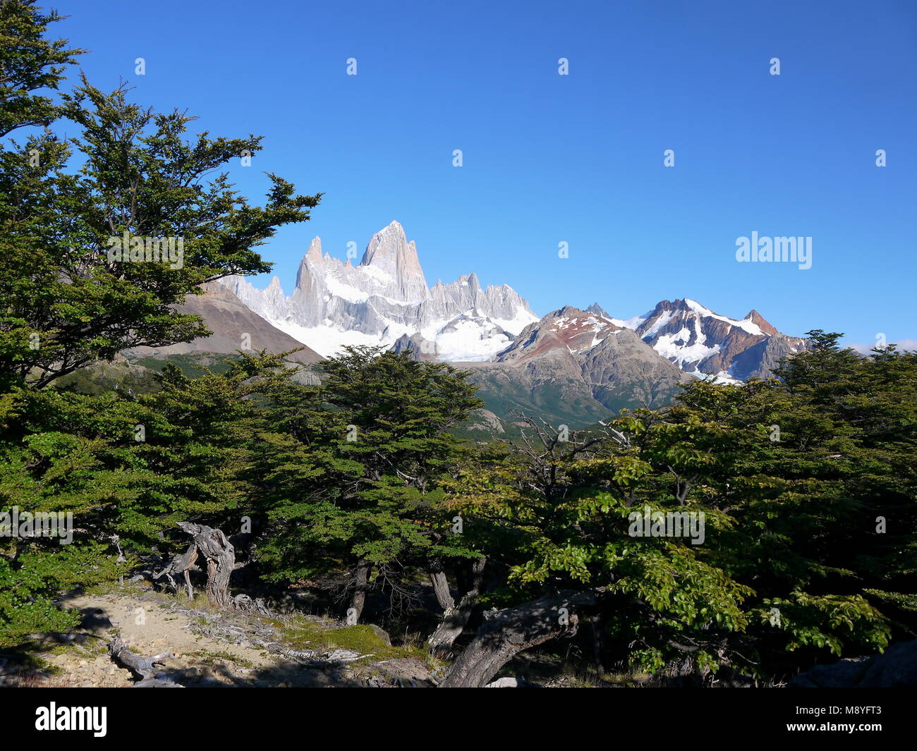 Mount Fitz Roy and surrounding peaks near El Chalten Santa Cruz Argentina Stock Photo