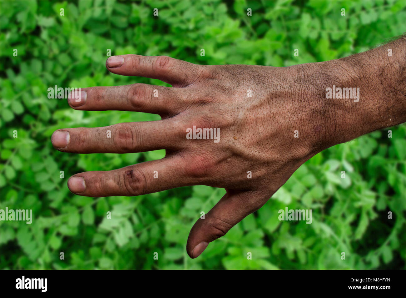 Hand Plow Stock Photos & Hand Plow Stock Images - Alamy