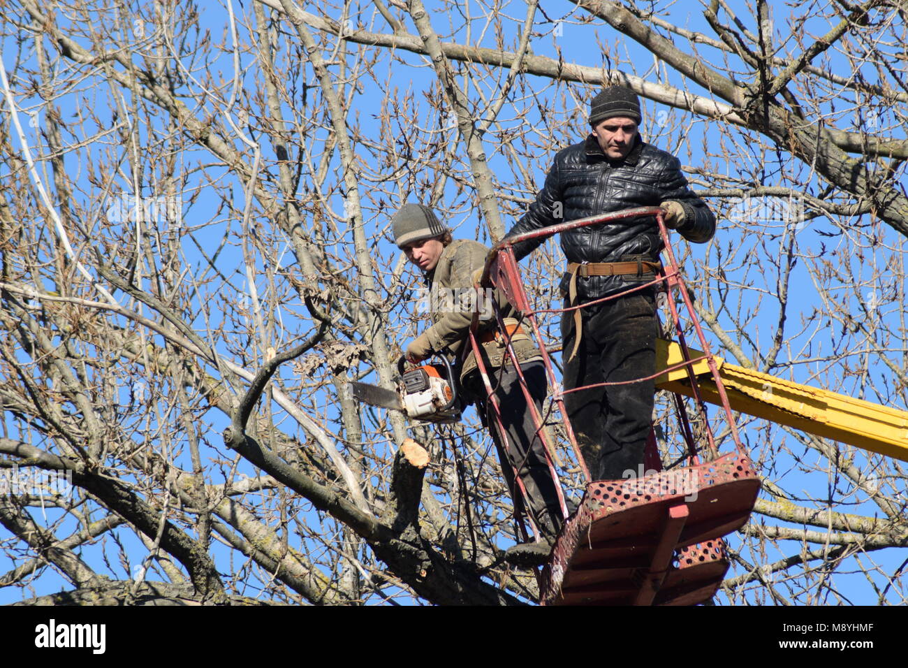 Trimming tree lift arm hires stock photography and images Alamy