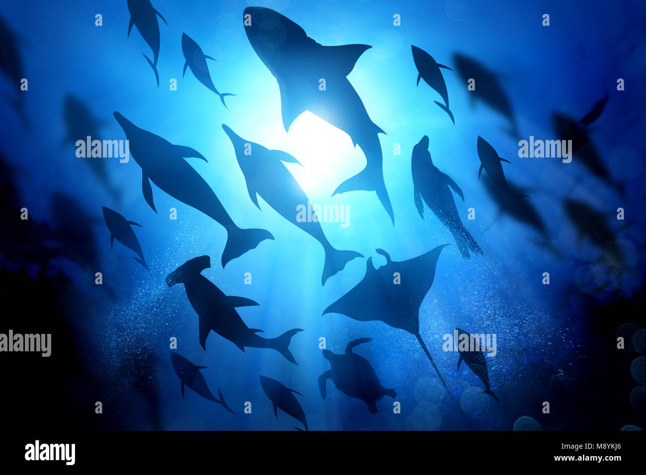 A variety of marine and ocean life silhouettes under the waves including salt water Dolphins, sharks and fish. Mixed media illustration. Stock Photo