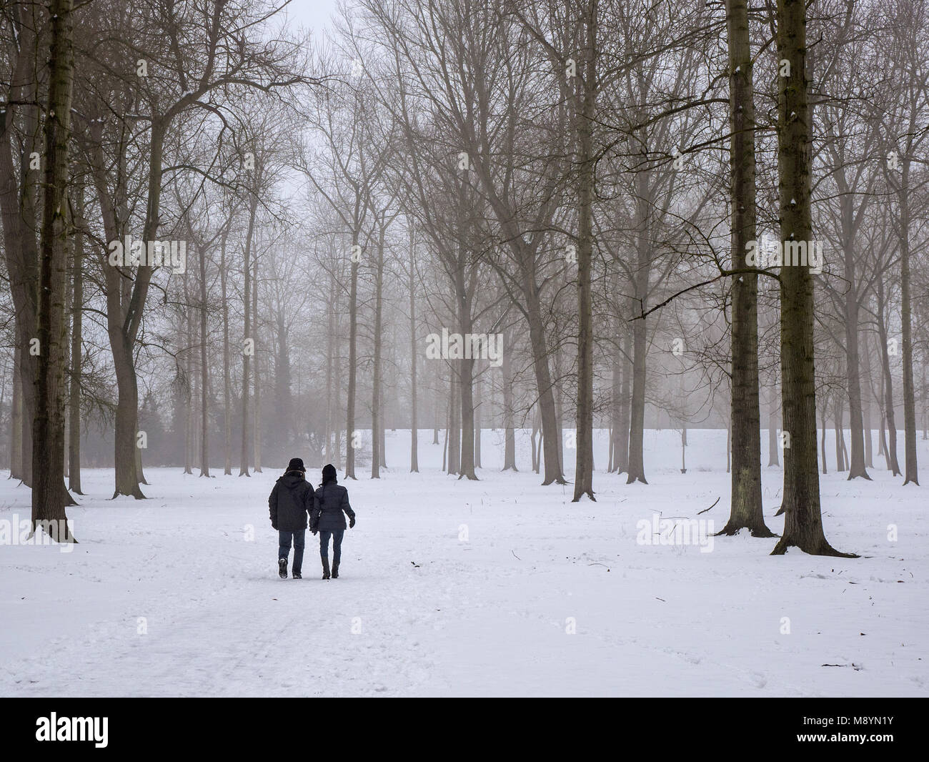 A couple walking hand in hand through a snowy forest Stock Photo - Alamy