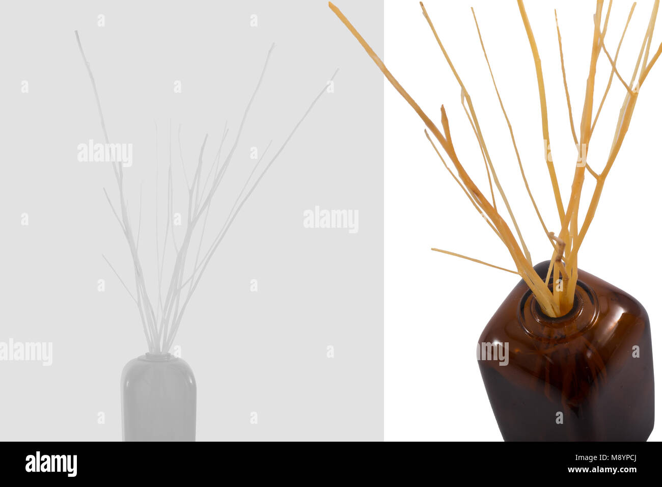 reed diffuser room aroma oil concept leaflet brochure background design Stock Photo