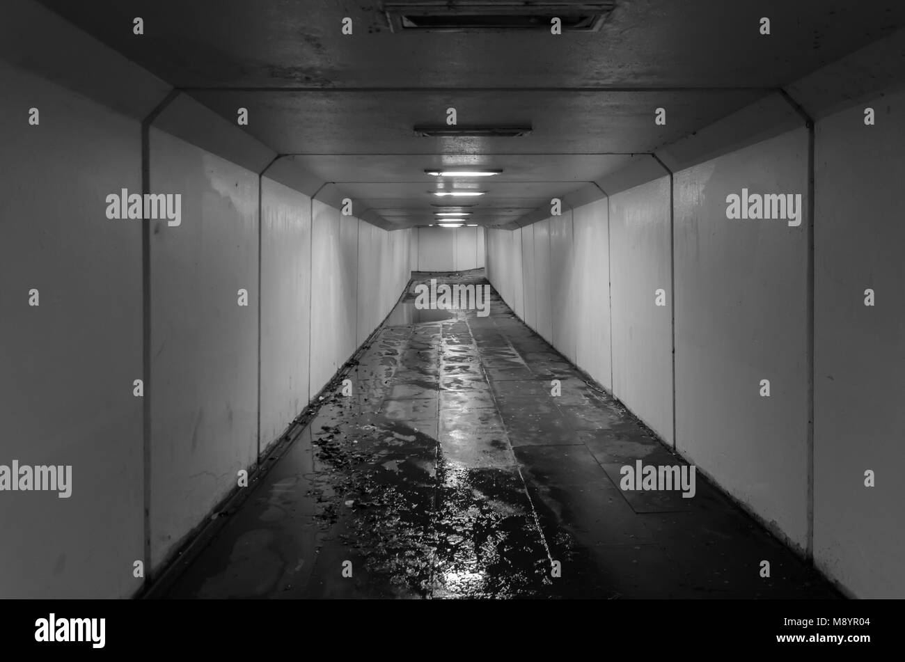 Subway Black and White Stock Photos & Images Alamy