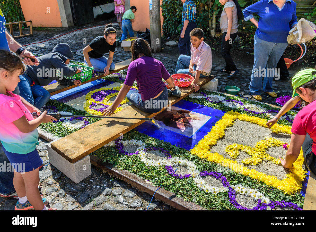 Antigua, Guatemala -  March 6, 2016: Locals make flower Lent procession carpet in town with famous Holy Week celebrations Stock Photo