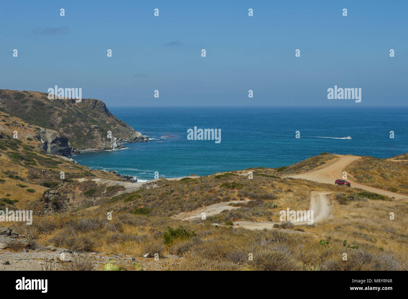 Car and boat at Catalina Island, California Stock Photo Alamy