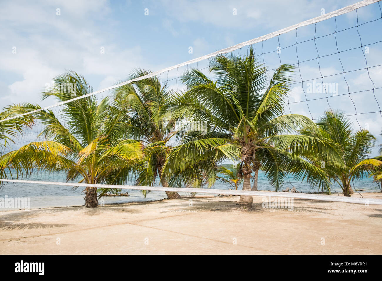 beach volleyball field with palm trees and ocean background - Stock Photo