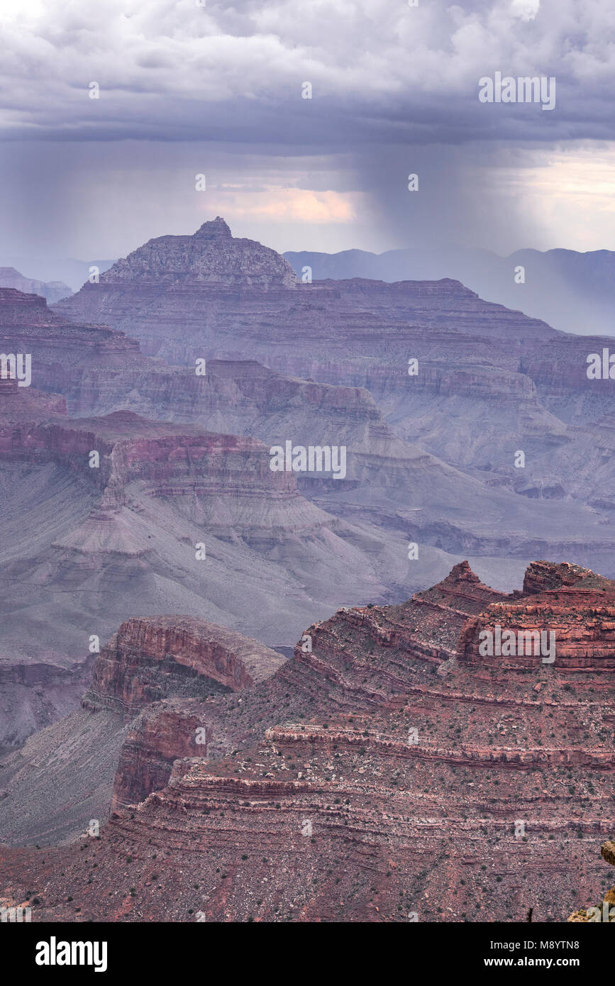 Rain shields, to the northeast, from Yaki Point, Grand Canyon NP, AZ, USA, by Dominique Braud/Dembinsky Photo Assoc Stock Photo