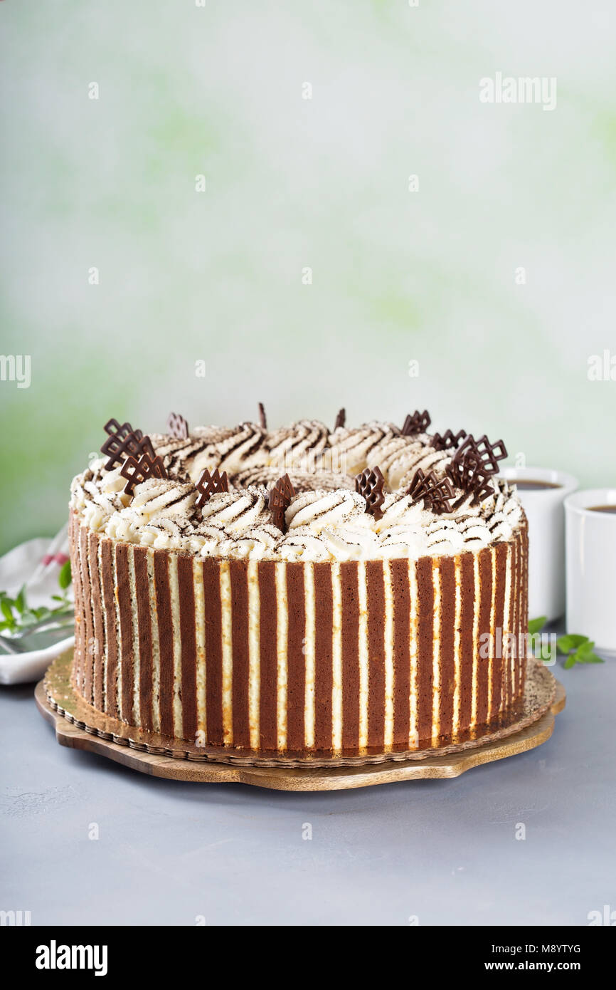 Tiramisu cake with chocolate decor Stock Photo Alamy