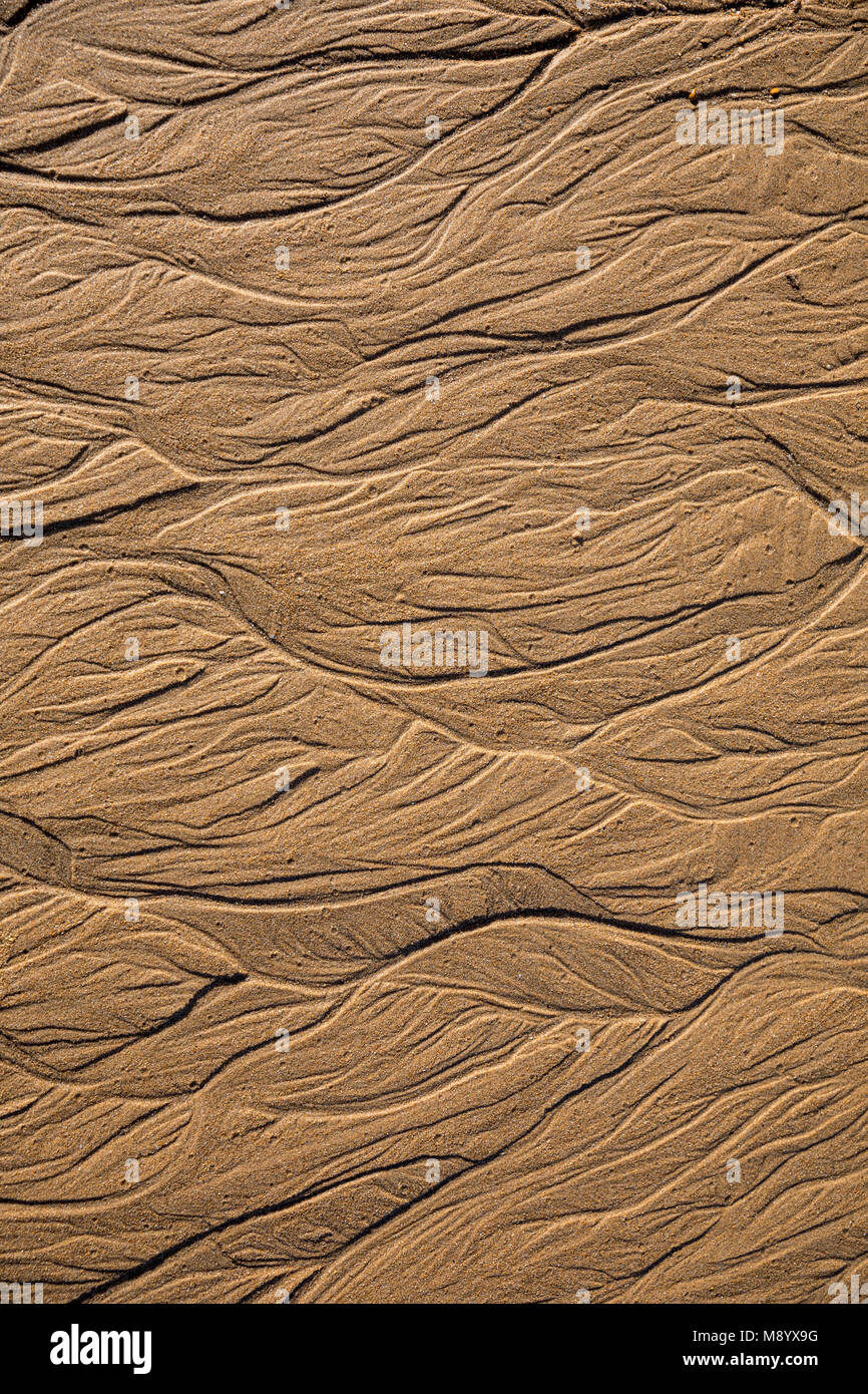 Sand texture with abstract forms of water at low tide Stock Photo