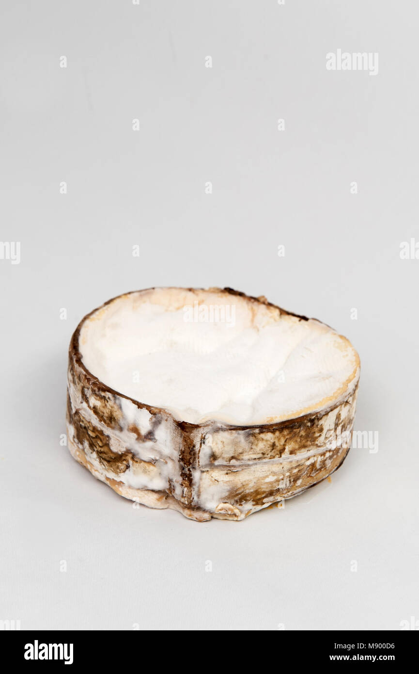 Vacherin du Mont D'or is a gooey rich and powerful cows' milk cheese from the French Alps Stock Photo