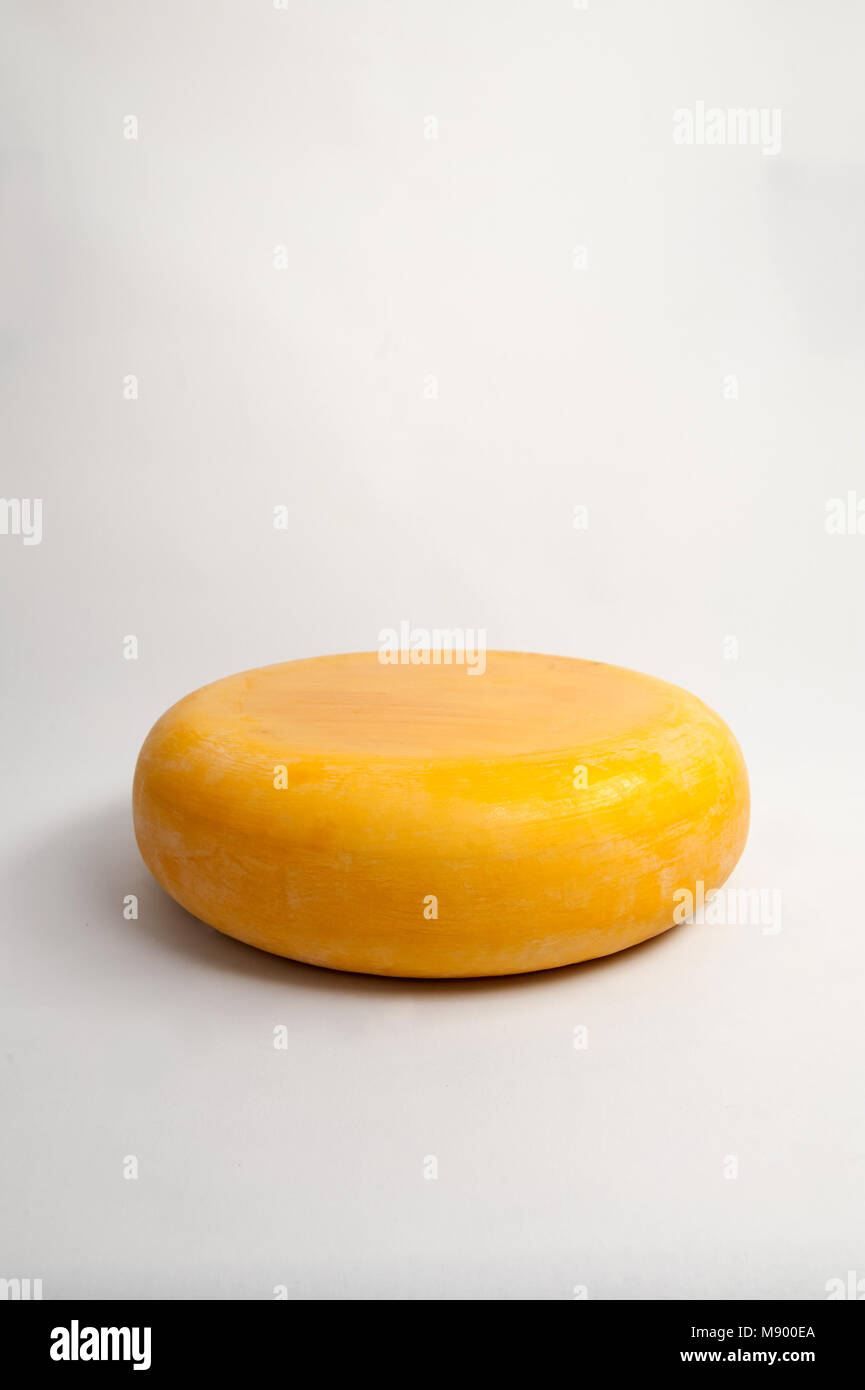 aged gouda Stock Photo Alamy