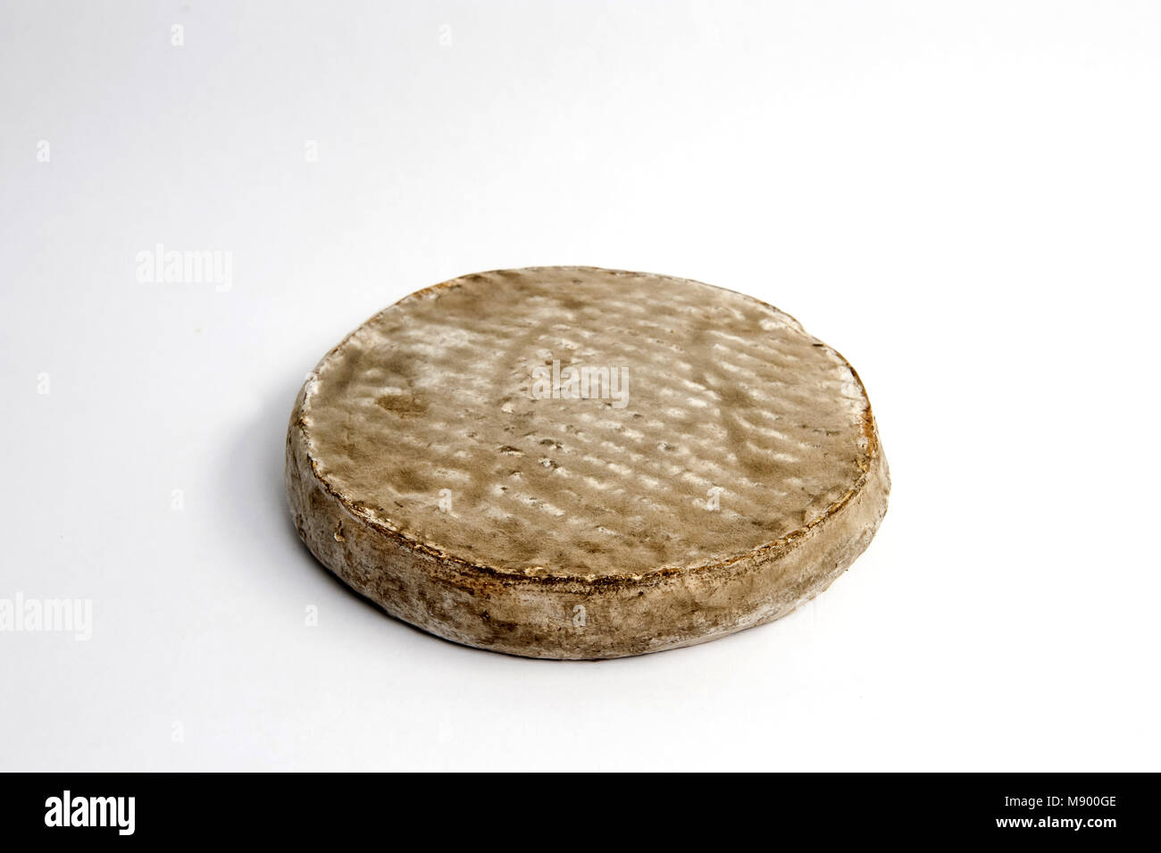 SaintNectaire French cheese Stock Photo Alamy