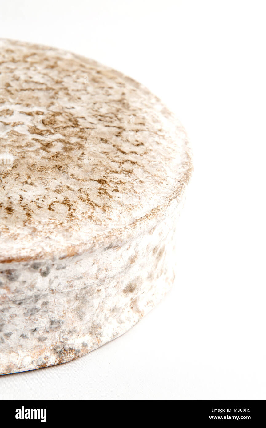 Caerphilly a hard cheese made on the British Isles, originally made in Wales Stock Photo