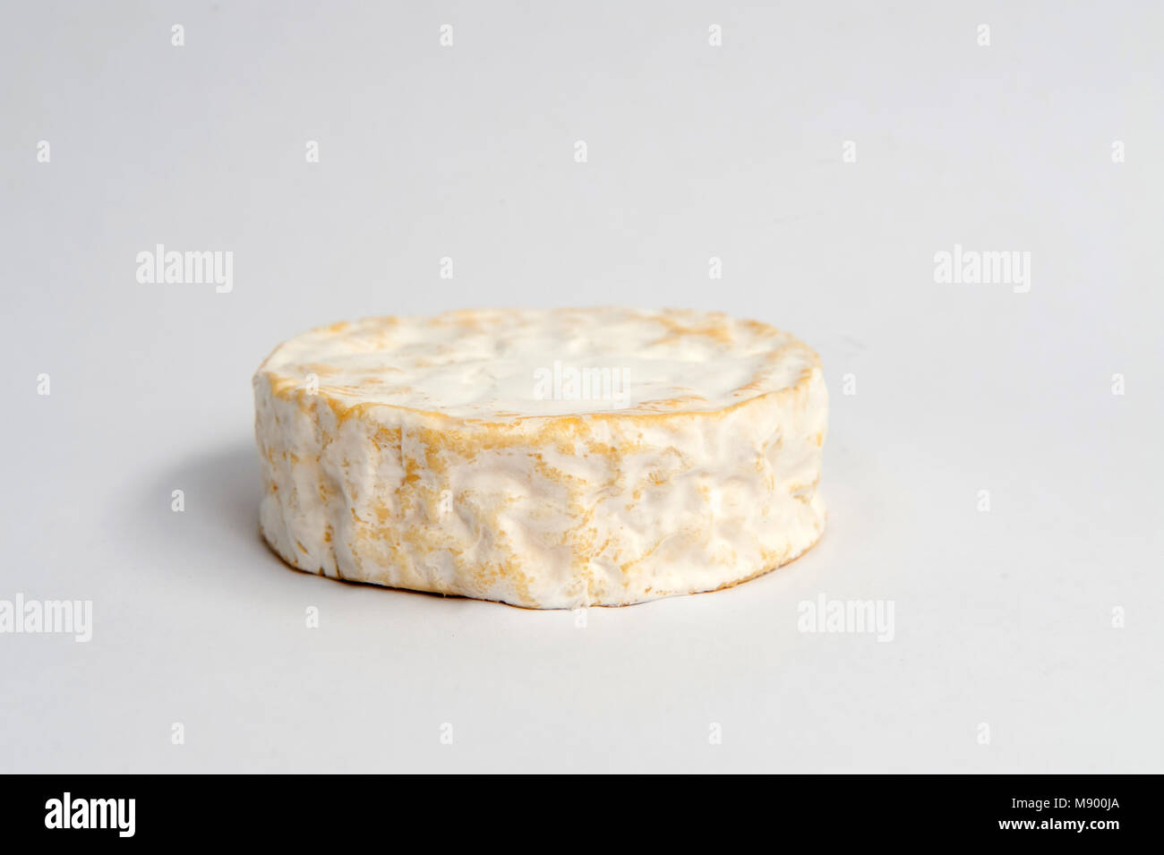 Tunworth a camembert-style cheese from the British Isles Stock Photo