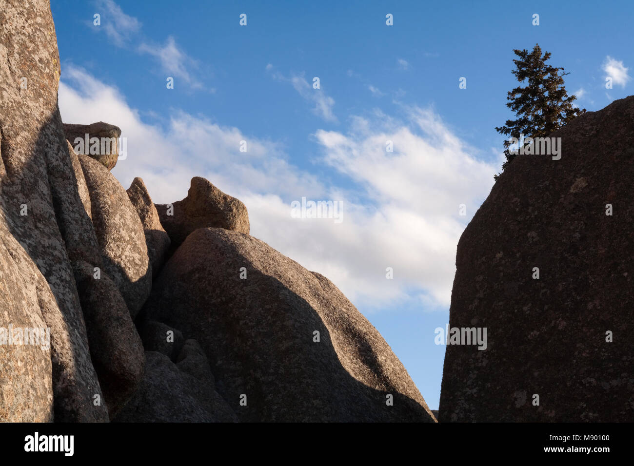 Granite rock formations and solitary tree at Vadauwoo Recreation Area, within the Medicine Bow National Forest, Albany County, Wyoming, USA. Stock Photo