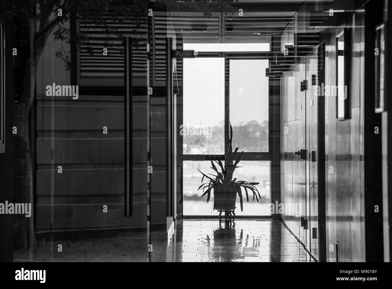 looking through glass to a lift lobby or foyer of an apartment block with distant views of a harbor in the background Stock Photo