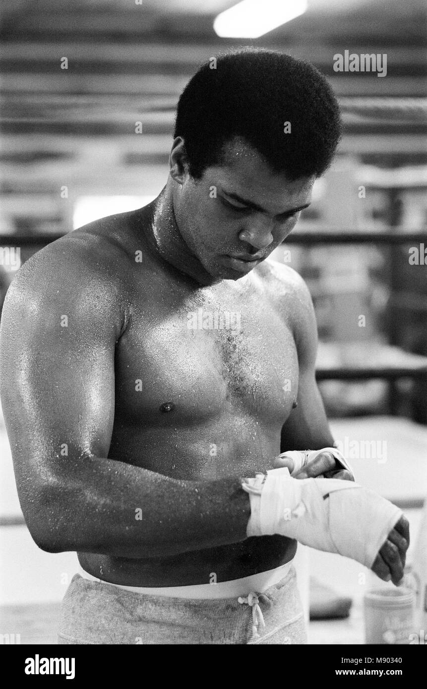Muhammad Ali (Cassius Clay) training at his Pennsylvanian mountain retreat for his fight against George Foreman in Zaire.  27th August 1974. Stock Photo