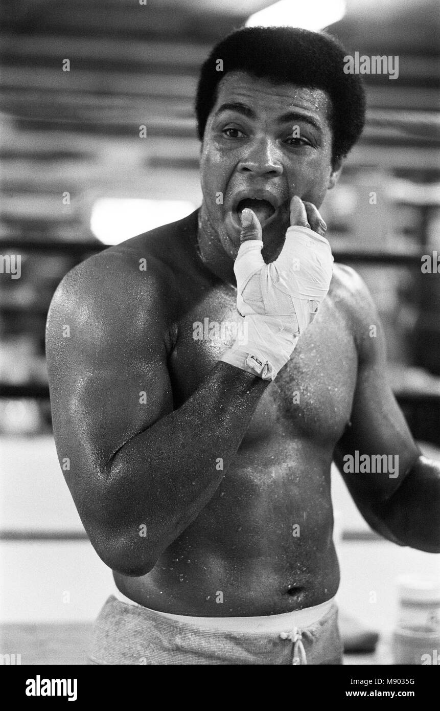 Muhammad Ali (Cassius Clay) training at his Pennsylvanian mountain retreat for his fight against George Foreman in Zaire.  27th August 1974. Stock Photo
