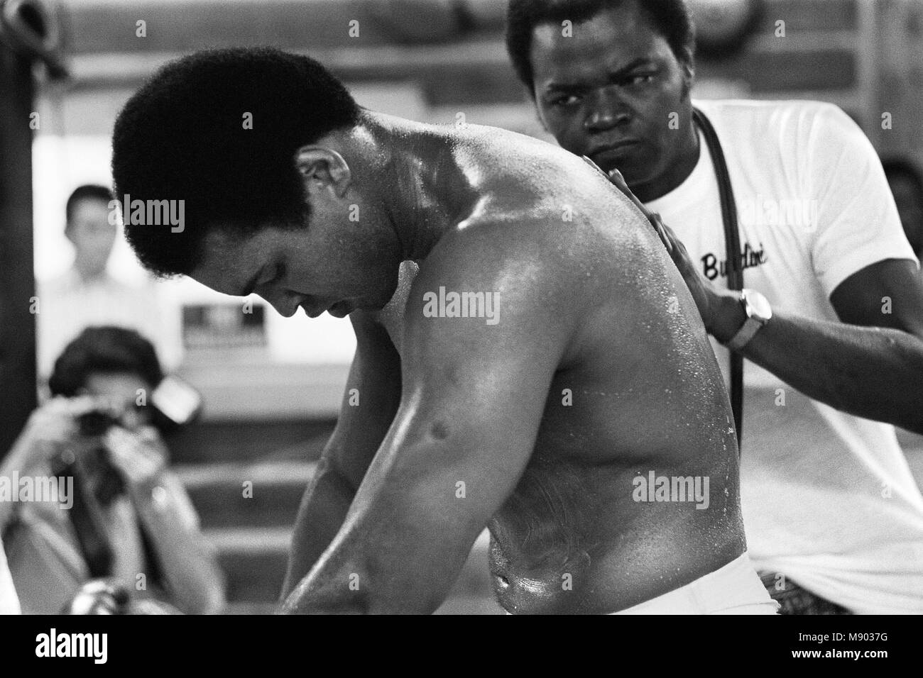 Muhammad Ali (Cassius Clay) training at his Pennsylvanian mountain retreat for his fight against George Foreman in Zaire.  (Picture shows Ali getting a rub down from corner man Drew Bundini Brown.  27th August 1974. Stock Photo