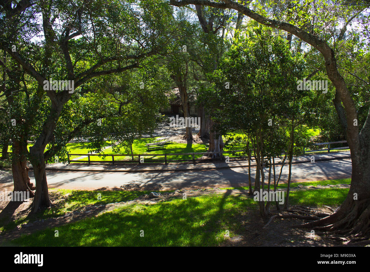 greynolds park map