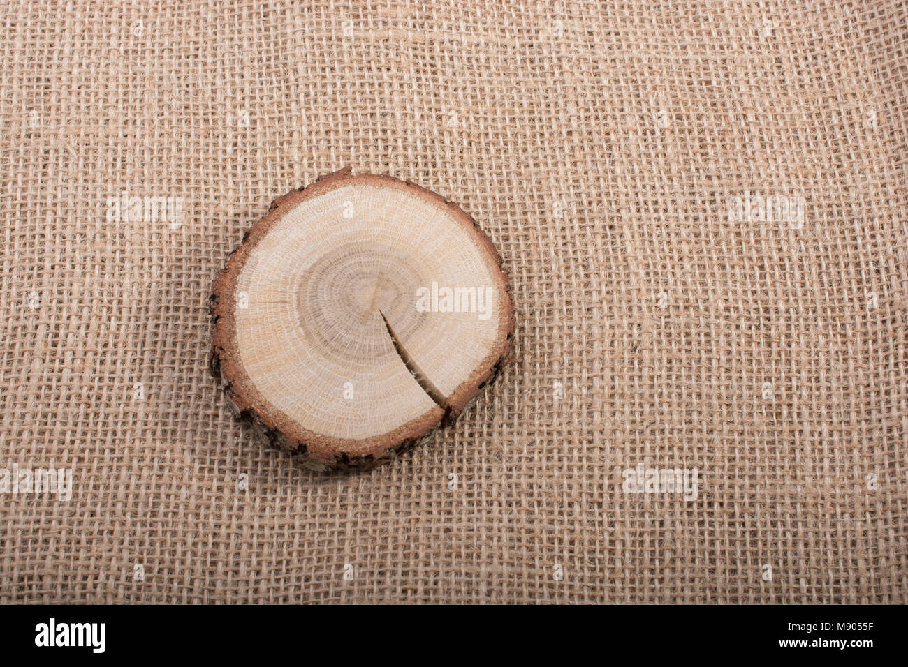 Piece of cut wood log texture as background Stock Photo - Alamy