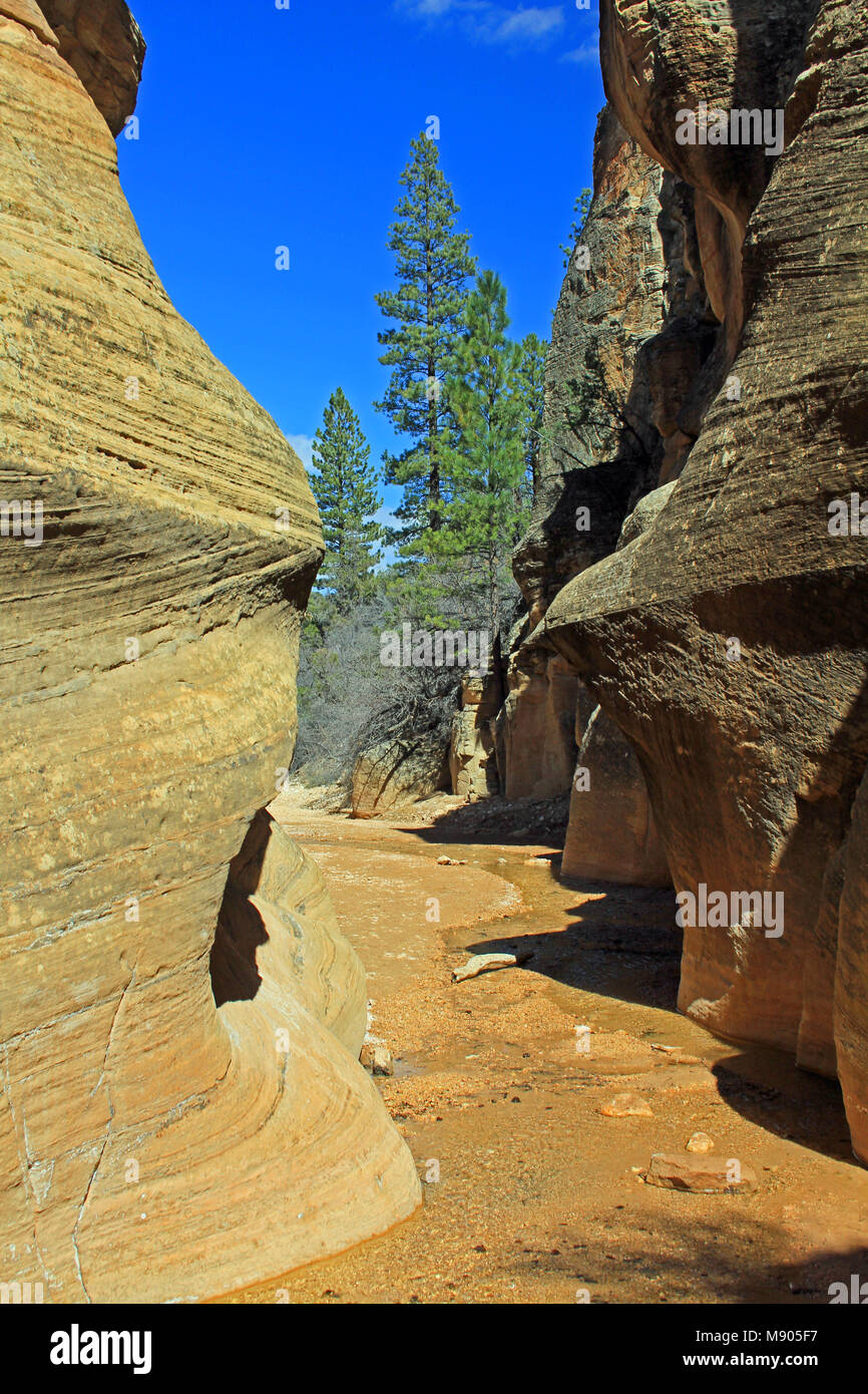 Opening of Willis Creek Canyon, Utah Stock Photo - Alamy