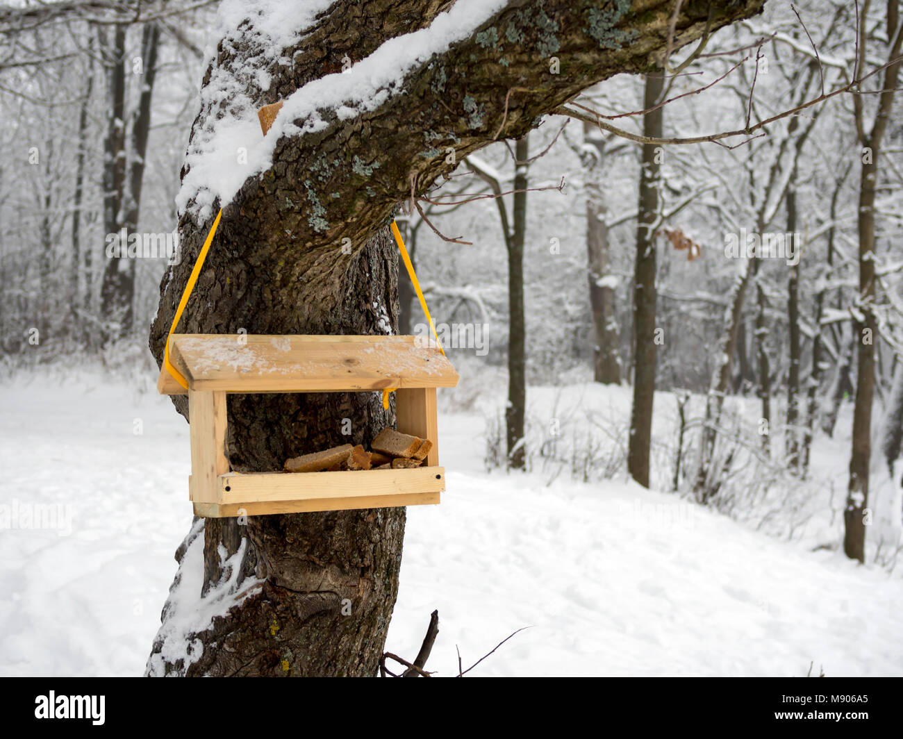 Empty bird feeder hires stock photography and images Alamy