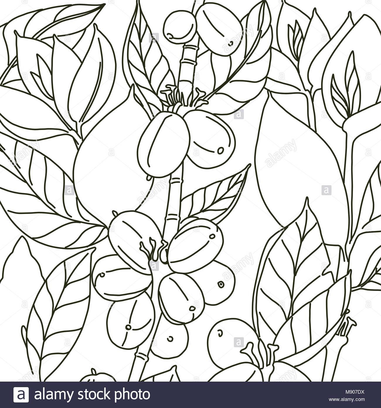Background With Floral Design Coffee Beans And Leaves Black And