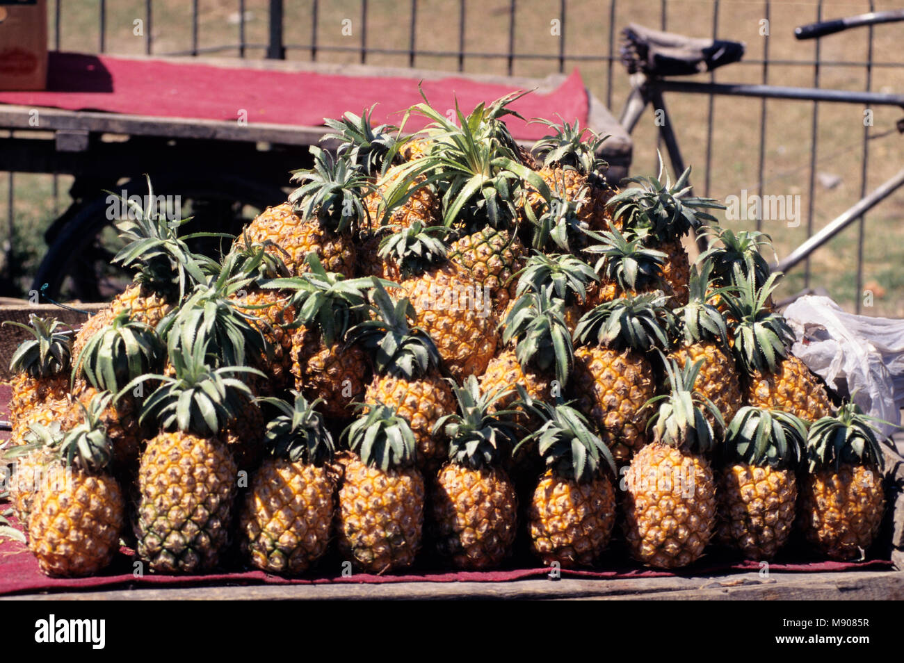 pineapples, Street vendors, Beijing City scene, China, PRC,, Middle