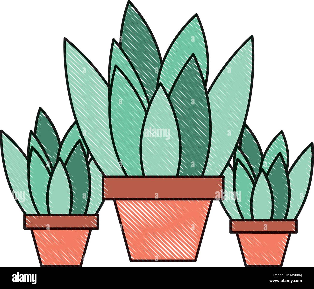set of potted plants Stock Vector Image & Art - Alamy