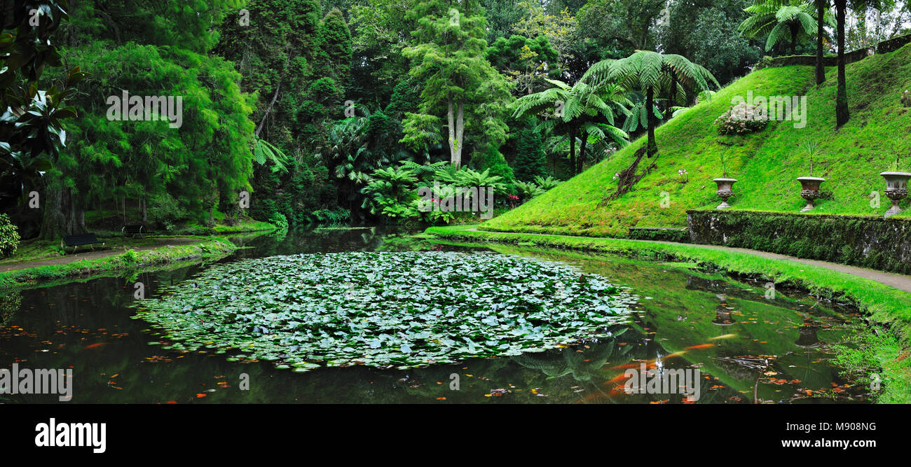 Founded in the 18th century, the Terra Nostra garden at Furnas is one of the most beautiful and exotic gardens in the world. São Miguel, Azores island Stock Photo
