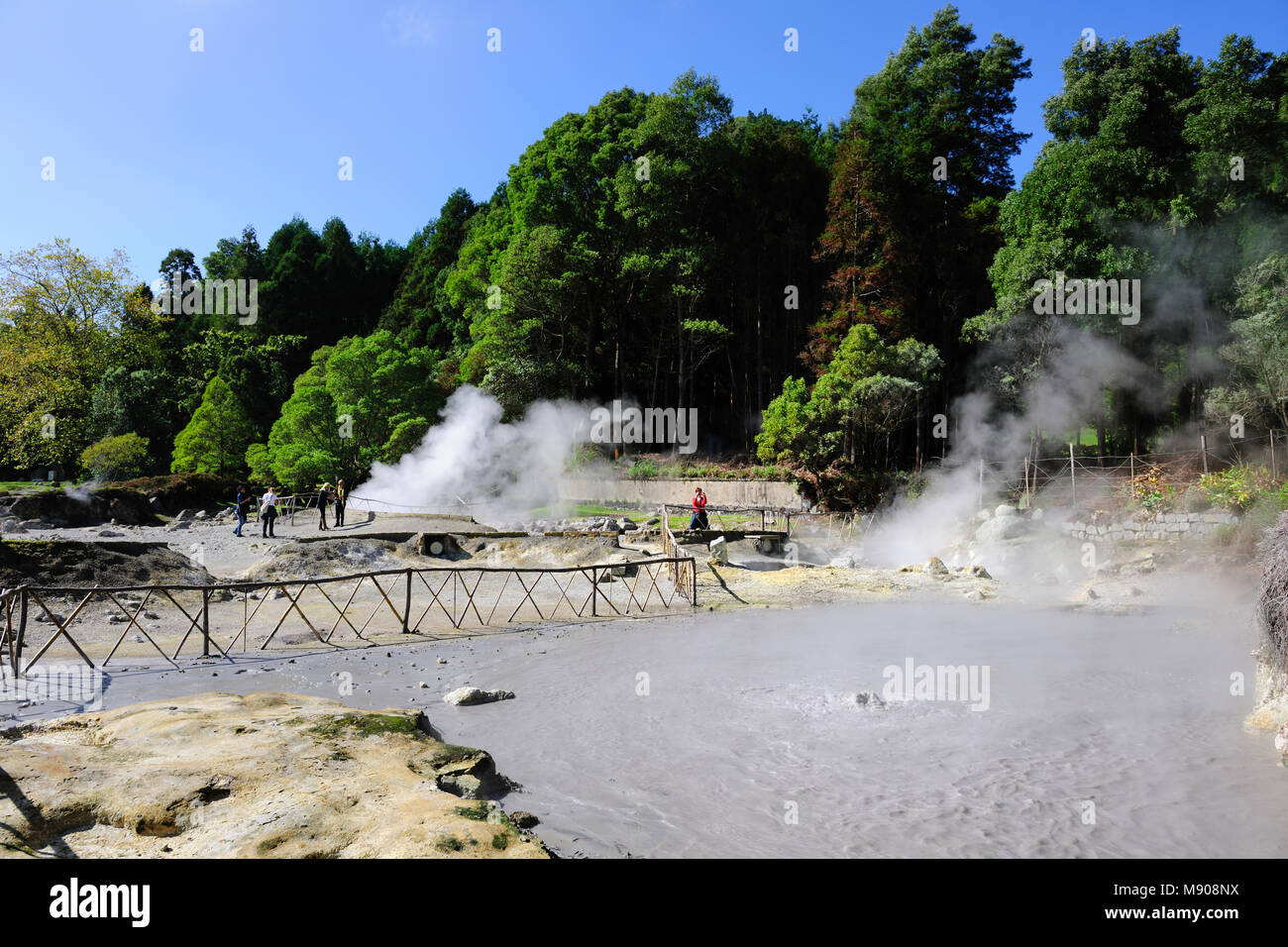 Volcanic activity with boiling mud and water at Furnas. São Miguel, Azores islands. Portugal Stock Photo