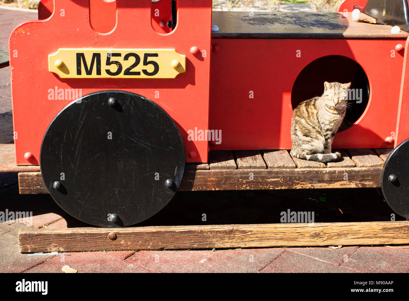 Cat on red playground train the limassol Municipal gardens in spring, Limmasol, Cyprus, Mediterranean Stock Photo