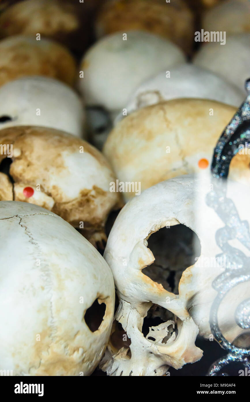 Some of the 9000 skulls, showing injuries caused by blunt injury trauma, piled up inside the Memorial Stupa to the victims. Choeung Ek Killing Fields Genocide Centre, Phnom Penh, Cambodia, site where tens of thousands of Cambodian people were killed by the Khymer Rouge under orders from Pol Pot from 1975-1979. Stock Photo