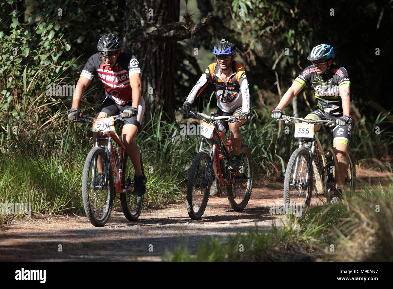 Sarteneja, Miranda. Vzla. 1era Válida Gatorade XXV Circuito MTB, Copa GU JF Sport , realizada en la Universidad Simón Bolívar Foto: Alejandro van Sche Stock Photo