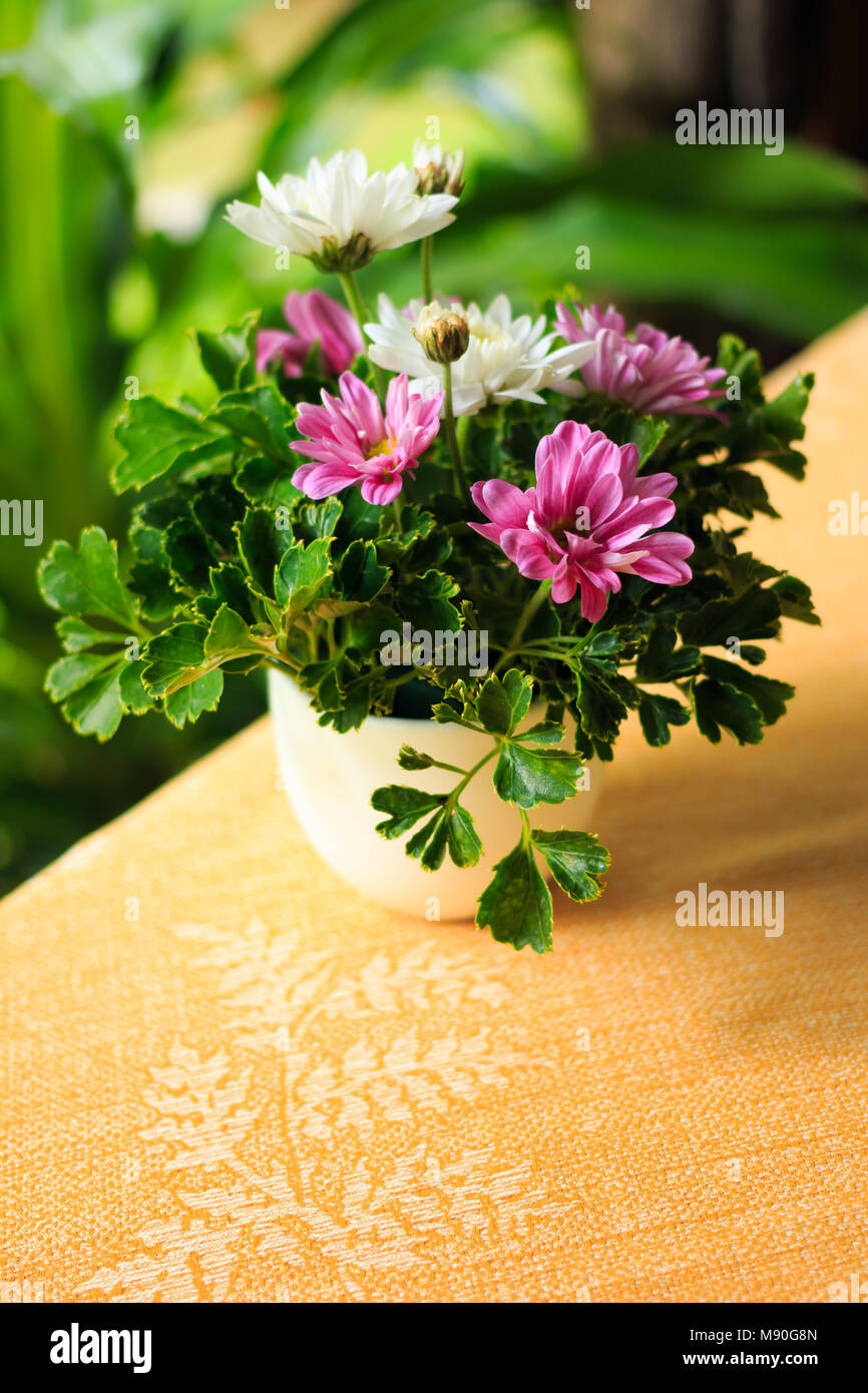 Vase of flowers on the table Stock Photo Alamy