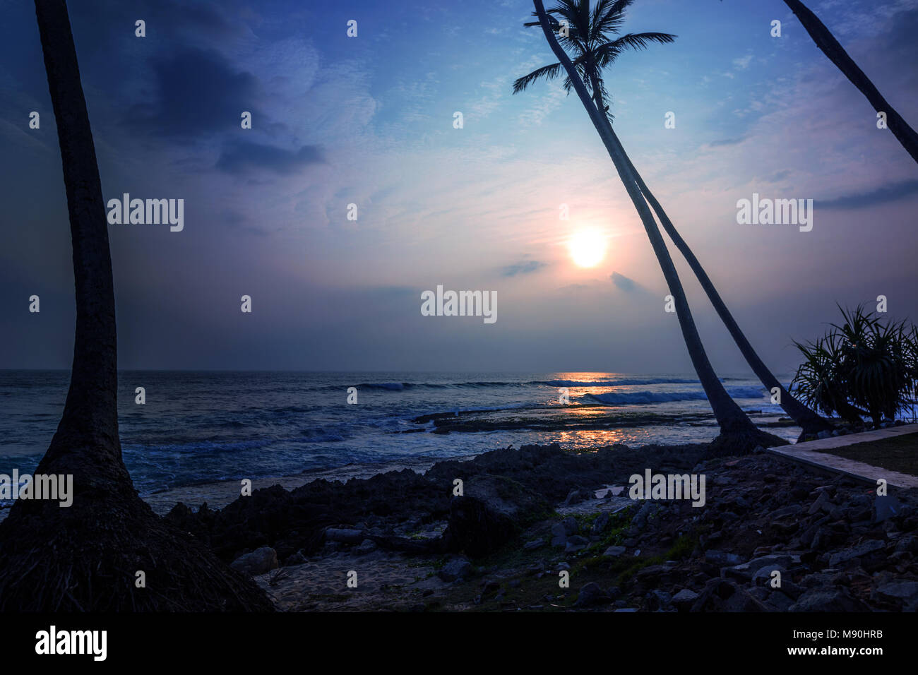 Two palm trees silhouette at sunset background on tropical beach Stock ...
