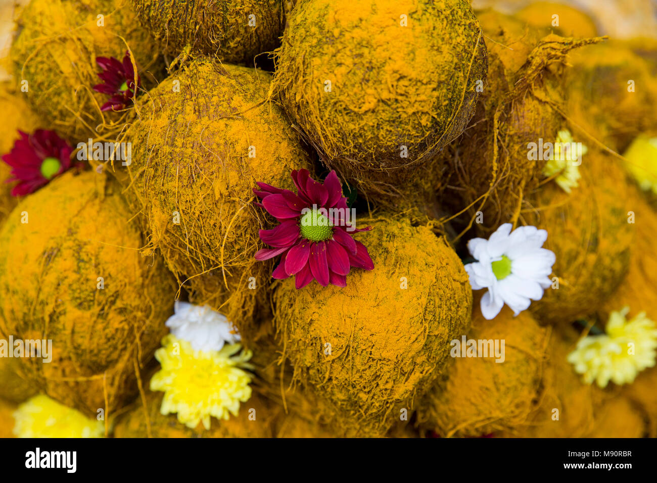 Ganesh festival in Paris. Coconuts that will be broken by devotees. France. Stock Photo