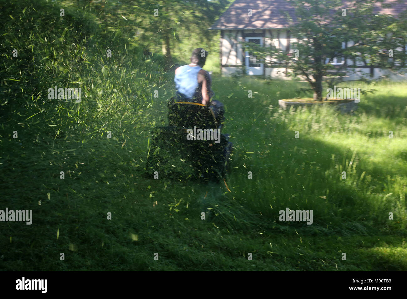 Lawn mowing. Eure, France. Stock Photo