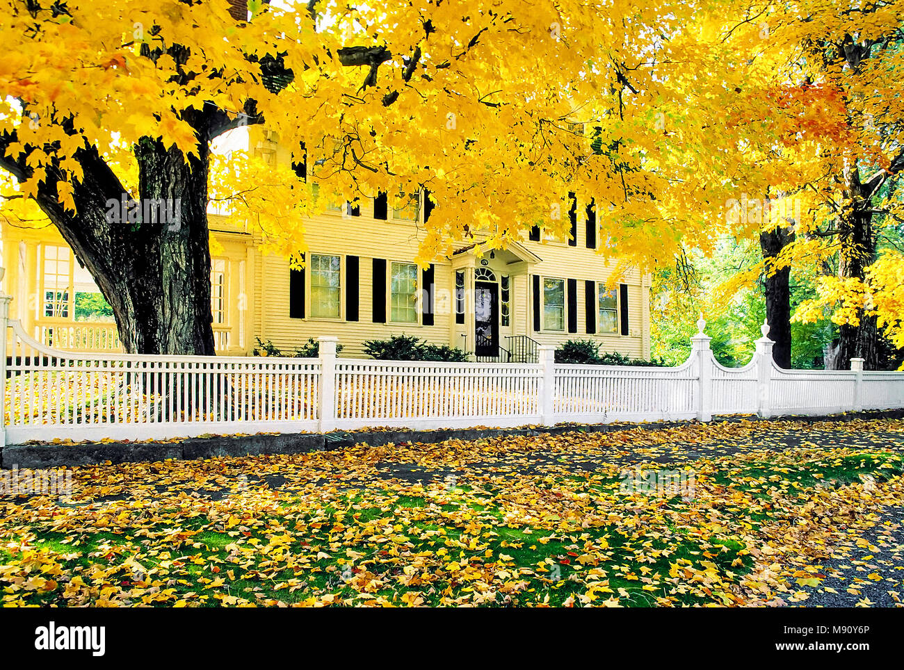 A formal white fence runs along the front yard of the Lynde Lord House in New Haven, Connecticult, United States. Stock Photo