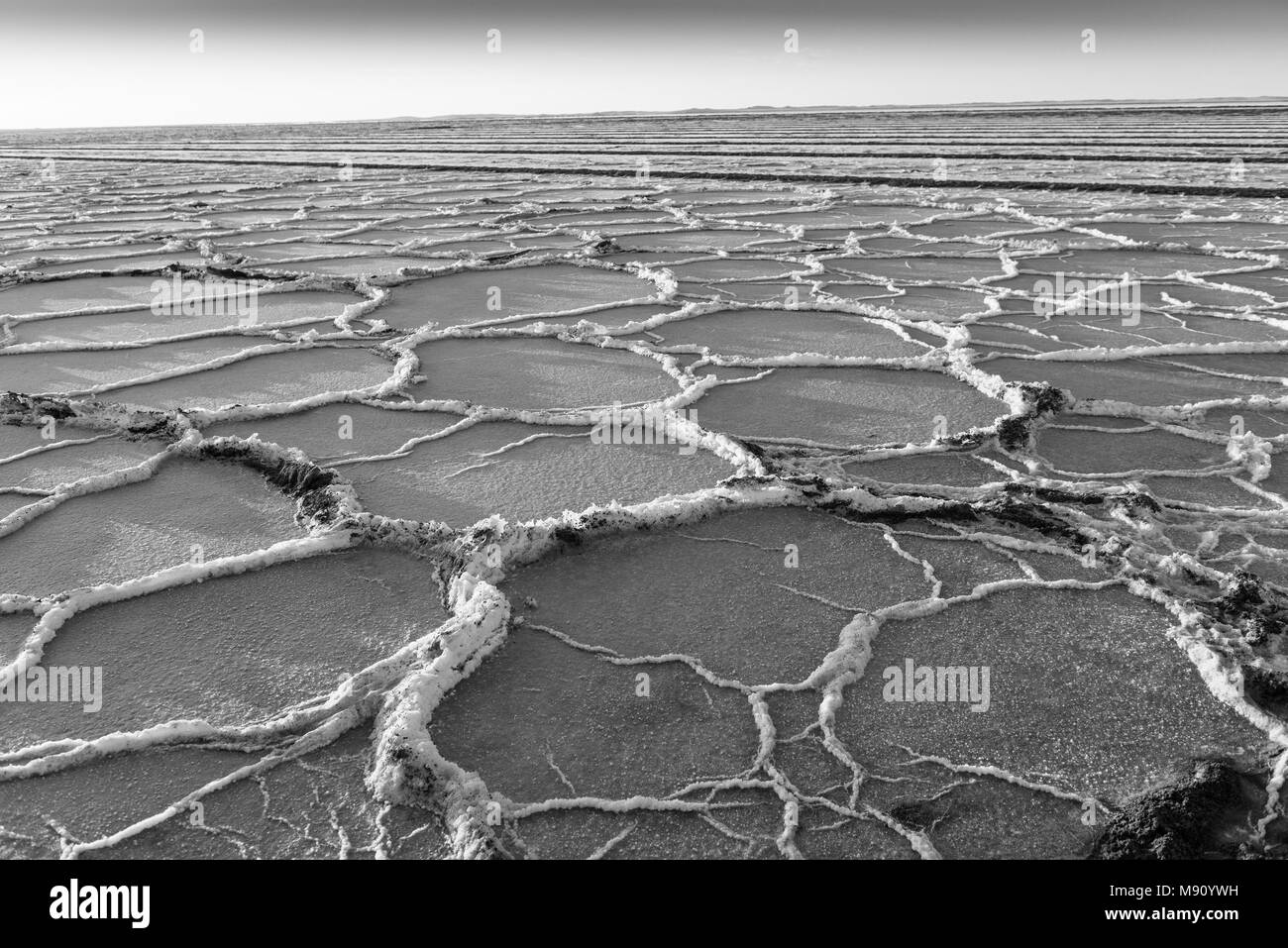 A salt pan on Nambia's Skeleton Coast Stock Photo