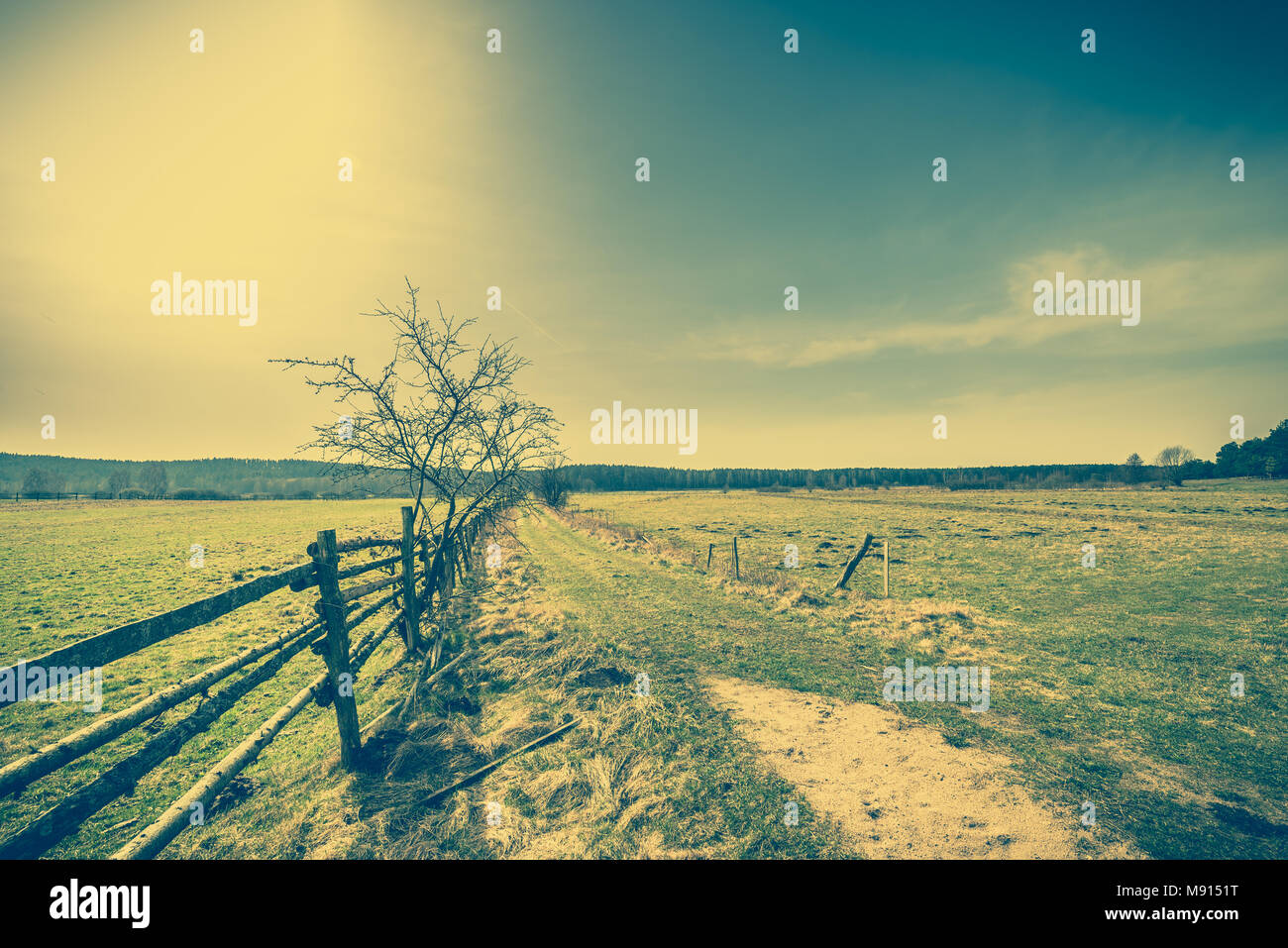 Beautiful rural field landscape, pasture and meadow for grazing and ...